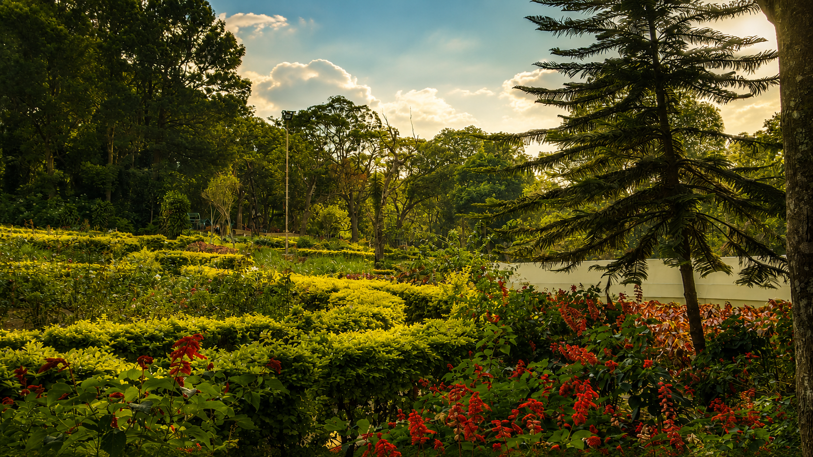 Rose Garden